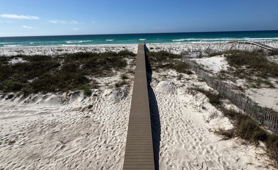 Dune Walkover Build
