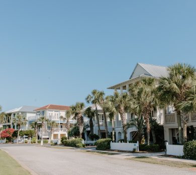 Scenic view of a Gulf Coast suburban street lined with palm trees and modern houses