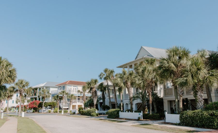 Scenic view of a Gulf Coast suburban street lined with palm trees and modern houses